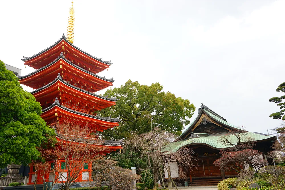 東長寺｜日本最大級の木造大仏と五重塔